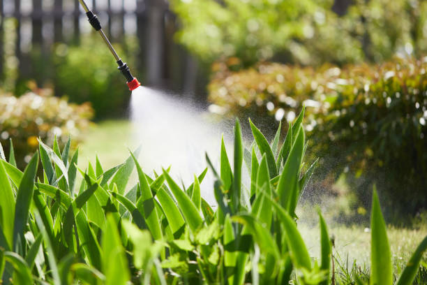 24/7 Emergency Ant Control experts in Mount Vernon, IL