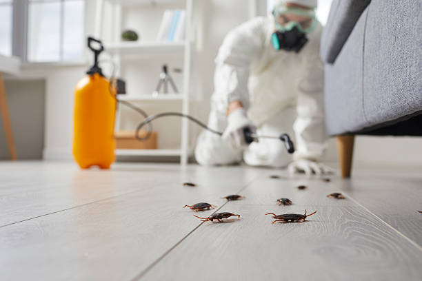 Trusted Rodent Control service in Mount Vernon, IL - Nex Pest Control