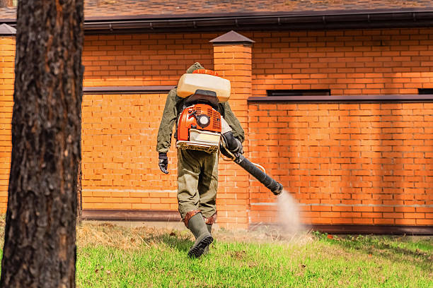 Trusted Emergency Pest Control service in Mount Vernon, IL - Nex Pest Control